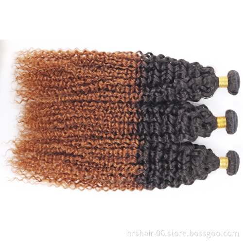 T1b/30 Color Jerry Curly Brazilian Hair Bundles With Closure Vendors Cuticle Aligned Virgin Human Hair Wholesales Extension